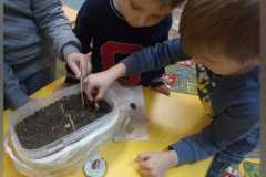 IMG-20240113-WA0014-1